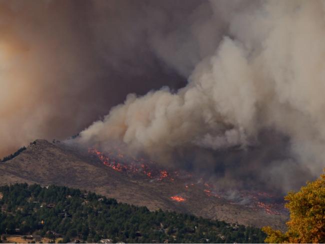 Sloan California Wildfire Relief